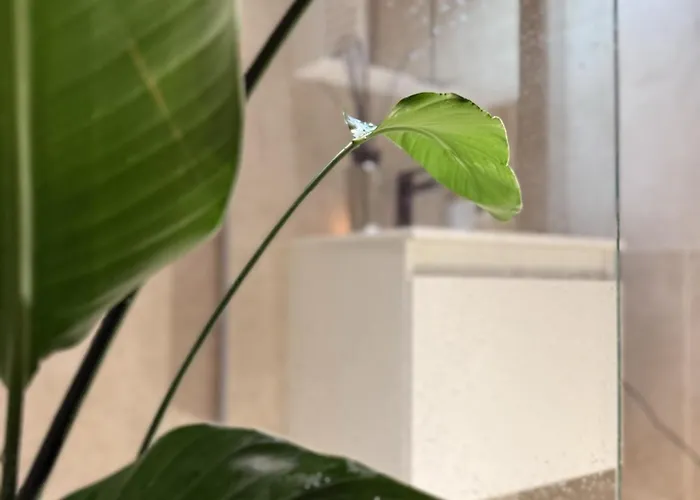 Apartment Luxury 3 Bedroom On The Floor With Panoramic View *