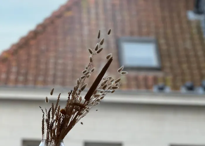 Luxury 3 Bedroom On The Floor With Panoramic View *