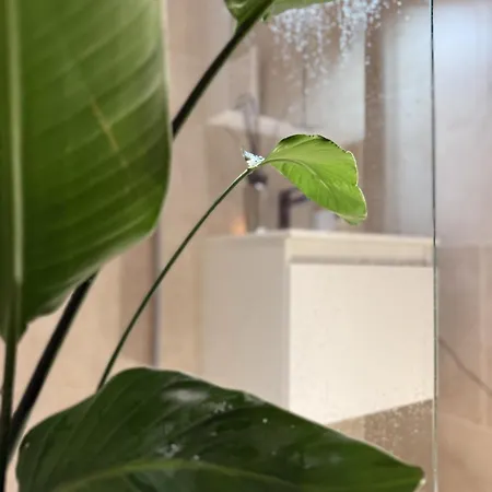 Appartement Luxury 3 Bedroom On The Floor With Panoramic View *